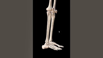The Six Determinants of Gait Theory