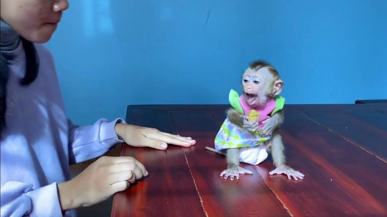 Miss Tourtour Dr..matic Mo0d With Mom Put Him Sit Not Huq