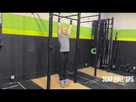 Scap Pull ups