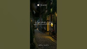 القرآن الكريم _ سورة العنكبوت _ عبد الرحمن مسعد