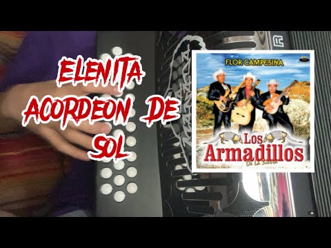 Elenita Armadillos De La Sierra En Acordeon De Sol - YouTube