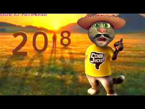 Happy New Year 2018 -funny Video