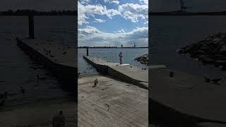 Birds of Canton Waterfront                                                  #natureisthenewluxury