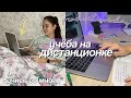 МОЙ ДЕНЬ НА ДИСТАНЦИОННОМ ОБУЧЕНИИ // Продуктивный День, Онлайн Уроки, Study With Me