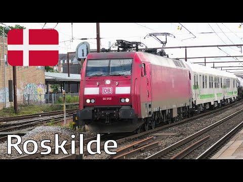 Tog på Roskilde station / Trains at Roskilde station (27/07/2024)
