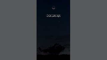 سورة الحج { ١٨ } #ياسر_الدوسري #quran #انشر_تؤجر