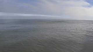 Surfing Murrells Inlet SC