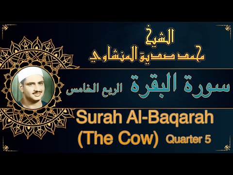 المصحف المعلم للشيخ محمد صديق المنشاوي سورة البقرة الربع الخامس     