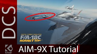 DCS F/A-18C: 🚀 Tutorial AIM-9X Sidewinder -  air to air missile -