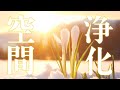 【本物の空間浄化】心・細胞・部屋の空気が無意識レベルで変わる特殊な音楽