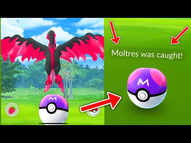 Rarest Pokemon ever?: Pokemon GO player catches a unique Galarian Moltres