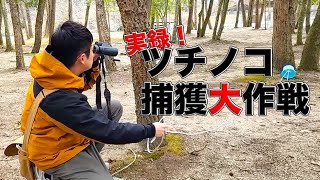 Close up] I went in search of Tsuchinoko in earnest - YouTube