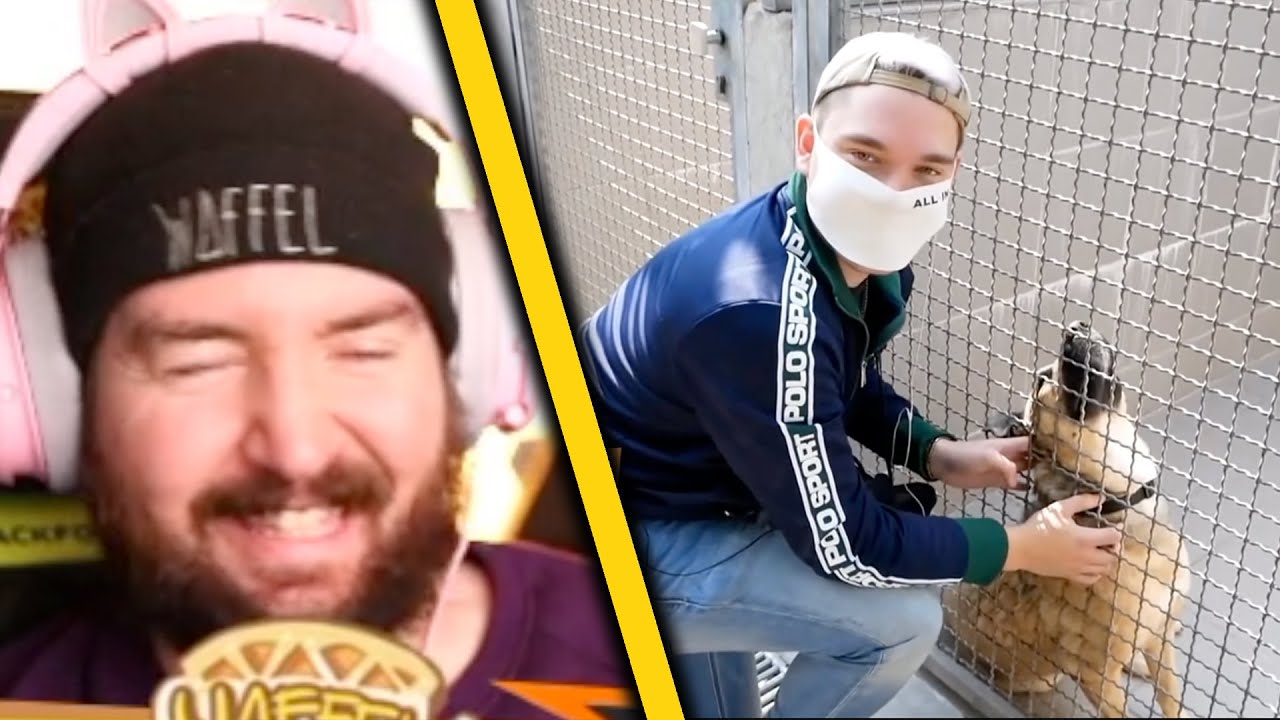 Sturmwaffel REAGIERT auf Gewitter im Kopf im Tierheim