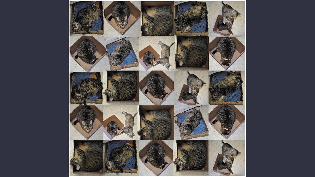 Funk Songs About Funk