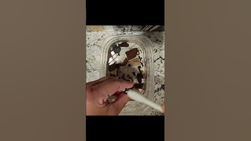 Fossil Cleaning (Part 1/6)