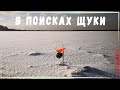 В поисках щуки / In search of pike