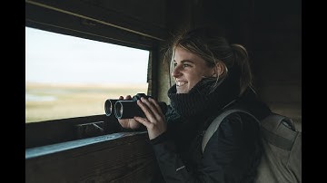 Vogelspotten Nationaal Park Lauwersmeer