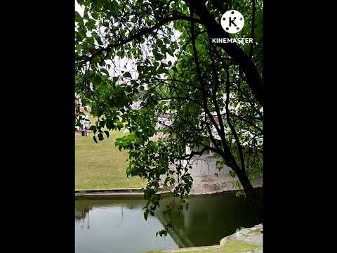 Витебск во всей красоте принимает гостей на Славянский базар 🎉