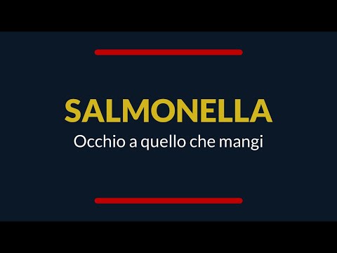 #AgorHouse - SALMONELLA: occhio a quello che mangi