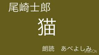 【朗読】 尾崎士郎「猫」 朗読・あべよしみ
