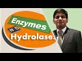 Hydrolases: Enzyme class 3: Enzyme classification and nomenclature: IUB system