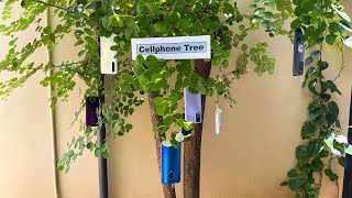 Plucking a Cell phone Tree🌲🌲 || Restoratiom Samsung Galaxy M52