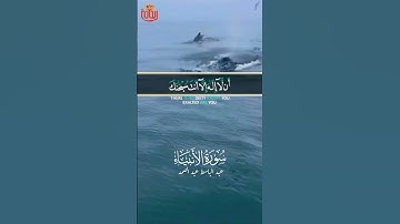 وذا النون إذ ذهب مغاضباً فنادى في الظلمات.. #عبدالباسط_عبدالصمد #ريحانة_قرآن #قرآن #تلاوات_خاشعة