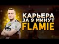 КАРЬЕРА FLAMIE ЗА 9 МИНУТ. ЛЕГЕНДА NA'VI CS:GO