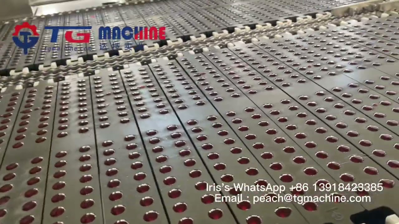 600kg/h fully automatic gummy candy machine vitamin gummy production line