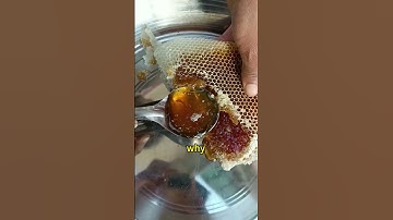 Why Honeycomb Cells Are Always Hexagonal #science #astrospark