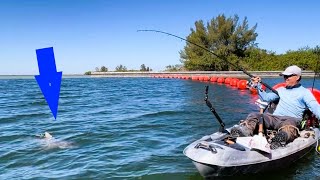 How to Catch Monsters at Apollo Beach !! Winter Time Fishing