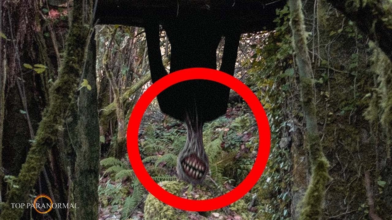 Terror Real 5 Misteriosos Momentos de TERROR REALES Captados en Cámara / Parte 4 ...
