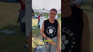 Parsippany NJ Farmer’s Market - What are this week’s vendors #nj #northjersey #parsippany 