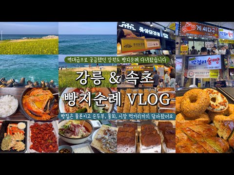 강원 고성 강릉&속초 빵지순례 여행 VLOG  강릉빵다방, 만동제과, 봉브레드, 베이커리가루, 옥수수술빵 / 속초중앙시장 먹거리 / 강릉짬뽕순두…