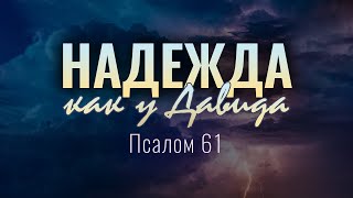 Надежда как у Давида (Андрей Зубарев)