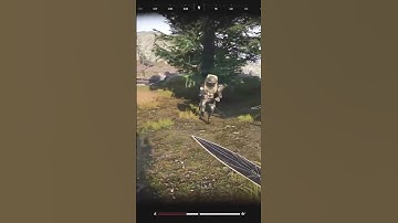 He passed the vibe check😂 (Arena Breakout Infinite)