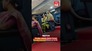Monkey attends Gujrat Census 2026 workshop without an invite