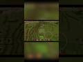Stupid game season 3 #minecraft #gaming #games