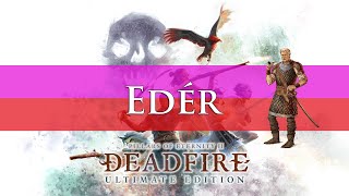 Pillars Of Eternity 2 Deadfire: Edér Companion Build Guide (Turn-Based & RTWP)