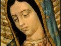 Miniature de la vidéo de la chanson Guadalupe
