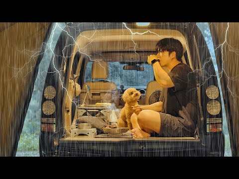 Camping In Non Stop Heavy Rain With My Dog Binge Watching ASMR