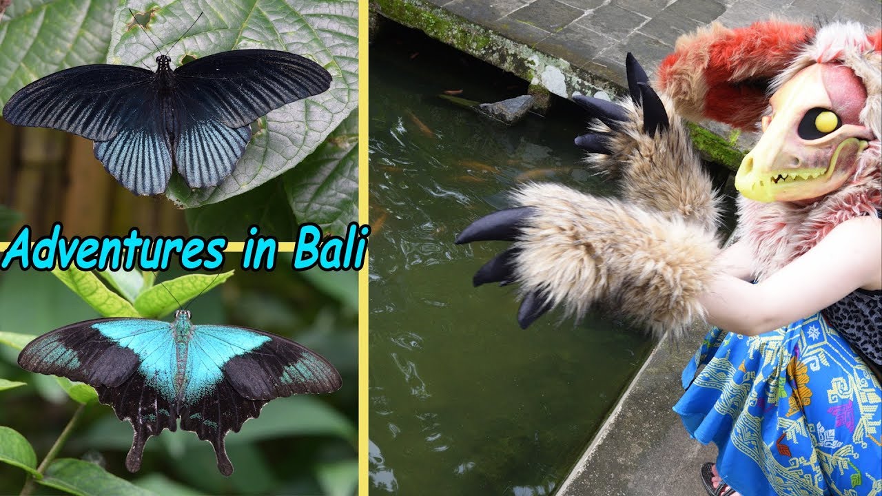 Adventures in Bali pt.4 