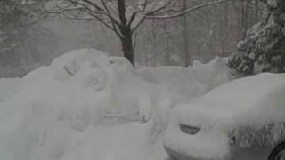 Blizzard 2010 - Second Wave