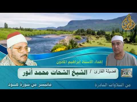 فضيلة القارئ الشحات محمد انور ورائعة هود