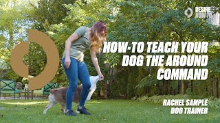 How-To Teach Your Dog the Around Command | Dog Trainer Rachel Sample