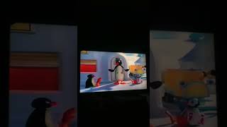 Pingu's Stick Up Pingu And Pinga Put Stickers Onto Father
