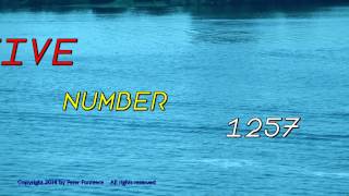 1981 Grammy Record Award - Facts in Five Number 1257