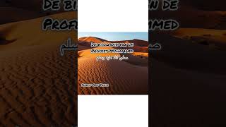 De biografie van de profeet صلى الله عليه و سلم les 8