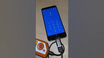 Flipper Zero Brute Forces IPhone Password 