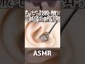【ASMR】鼓膜がパキって👂腰がビクンってなる耳かきの音😂ちょっとだけ奥の方の鼓膜をステンレス耳かきで触られてゾクゾクしてまう耳掃除🥰1分で寝落ちしちゃう😴片耳交互の高音圧🤤睡眠導入😪 #shorts